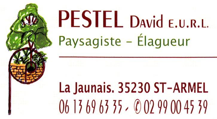 davidpestel.jpg