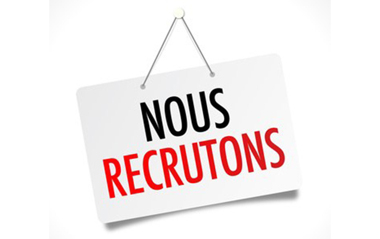 Logo emploi 1